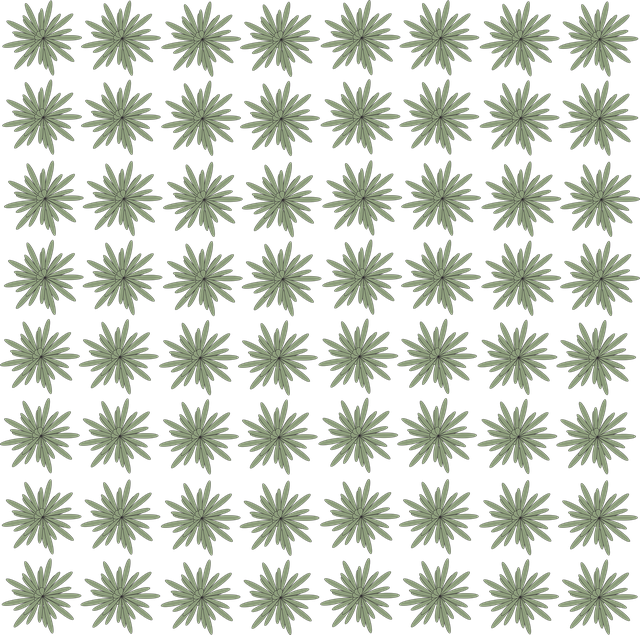 Download free HD stock image of Flower Plant Free flower plant nature illustration