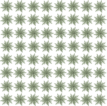 Flor, Naturaleza, Planta, Patrón, Floral