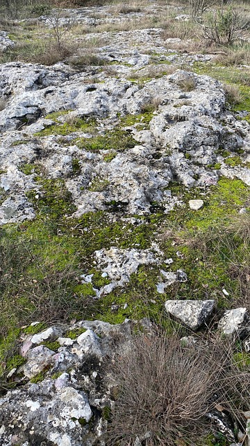 Natur, Fels, Landschaft, Moos