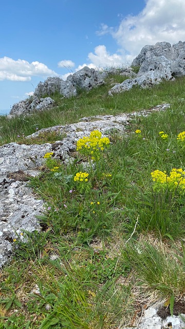 Učka, Berg, Istrien, Kroatien, Natur