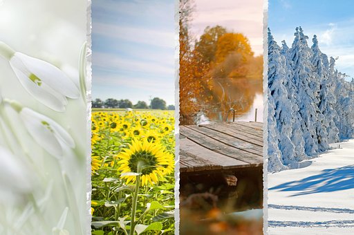 Årstid, Forår, Sommer, Efterår, Vinter