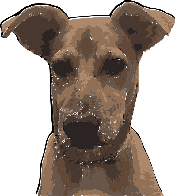 Perro, Orejas, Cachorro, Perro Mono