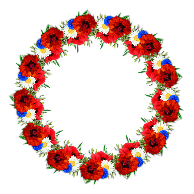 Free model crown red illustration