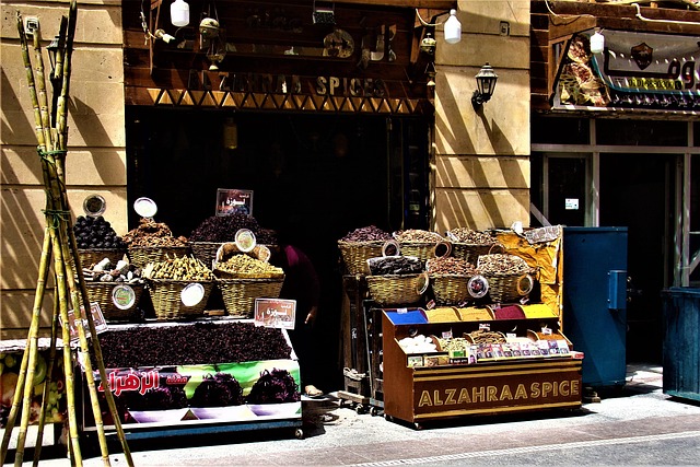 Free Egypt Aswan photo and picture