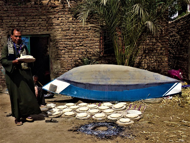 Free Egypt Luxor photo and picture