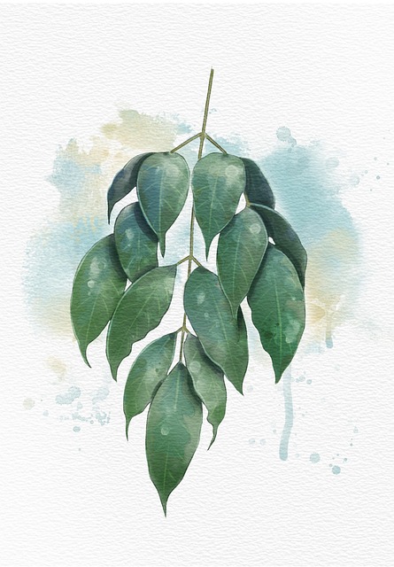 Vodové Barvy, Rostlina, List, Příroda