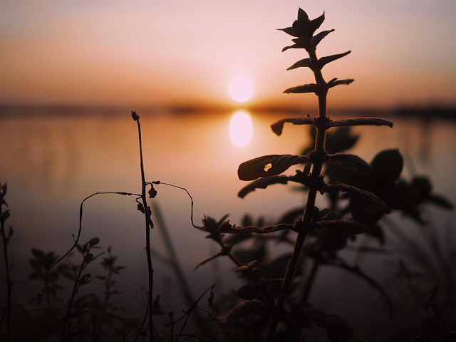 Pôr Do Sol, Natureza, Beira Da Estrada