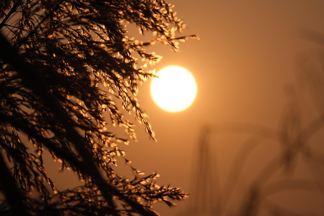 Free Twilight Sunset photo and picture