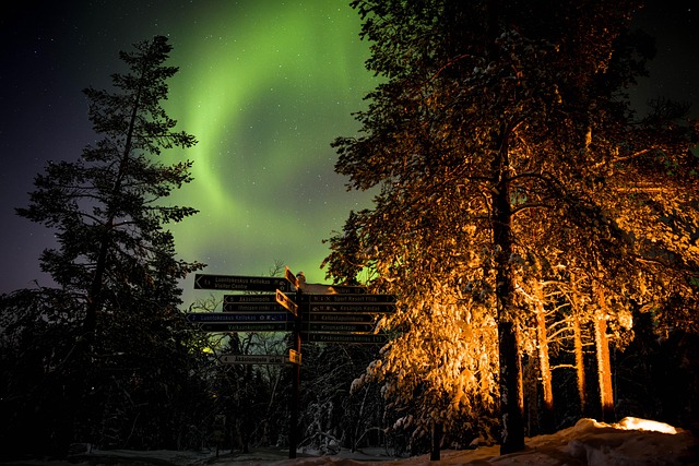 Free Aurora Northern Lights photo and picture