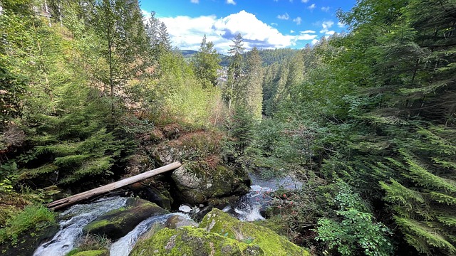 Schwarzwald, Triberg, Wasserfall, Urlaub