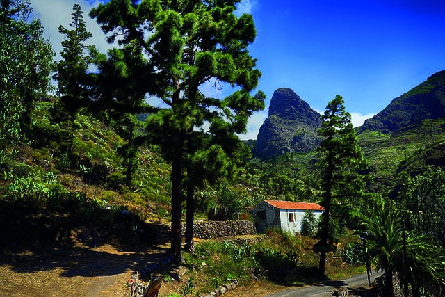 Kanaren, La Gomera, Wandern, Natur