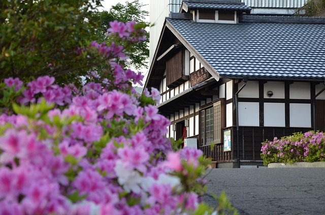 Free Azalea Train photo and picture