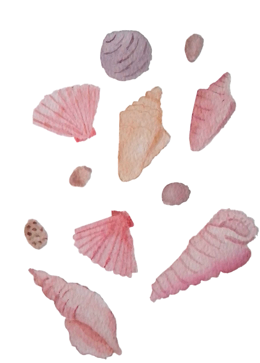 Download Watercolor, Seashell, Beach. Royalty-Free Stock Illustration