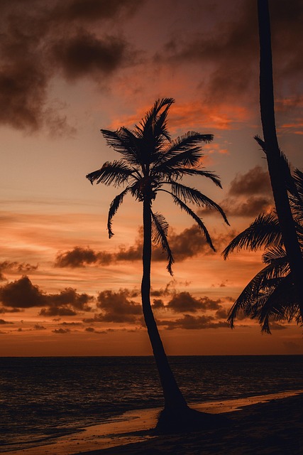 2,000+ Free Beautiful Pictures &amp; Picture Frame Images - Pixabay