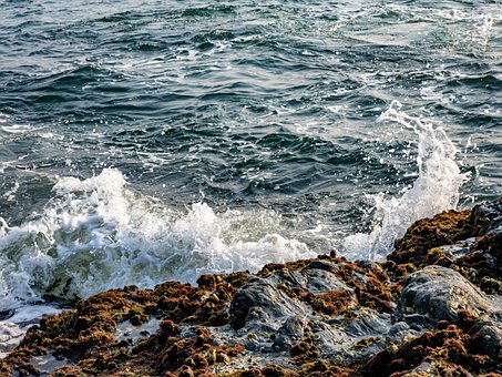 Free Ocean Sea photo and picture
