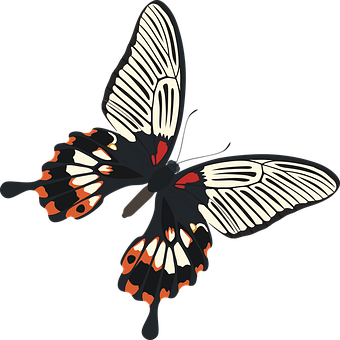 Borboleta, Papilio Memnon, Inseto, Asas