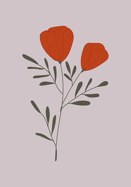 Free flowers poppy summer illustration