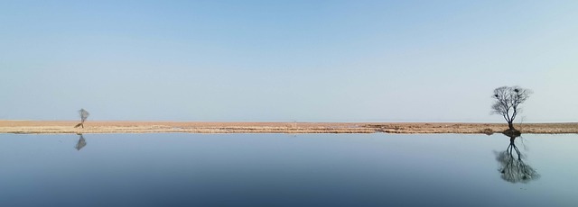 Free Lonely Water photo and picture