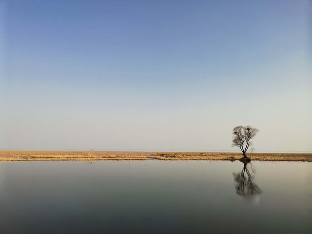 Free Reflection In Water Spring photo and picture