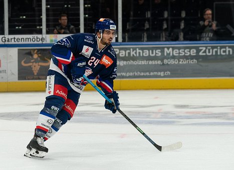 Free Ice Hockey Hockey photo and picture
