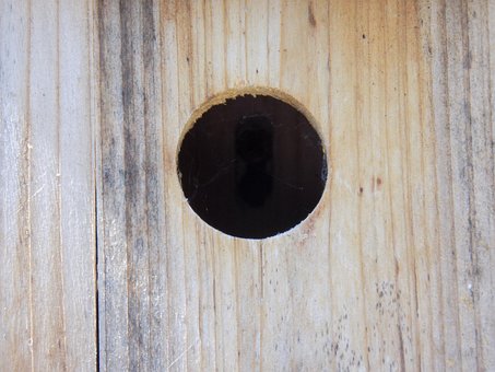 Free Hole Wood photo and picture