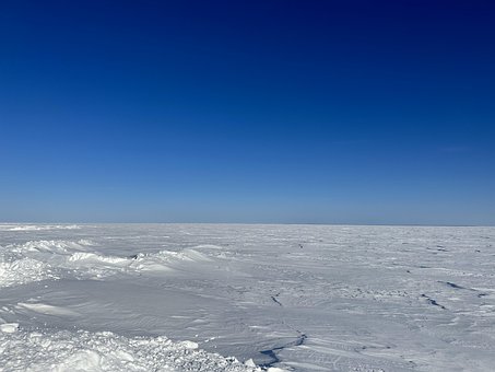 Free Frozen Winter photo and picture