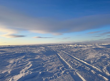Free Frozen Winter photo and picture