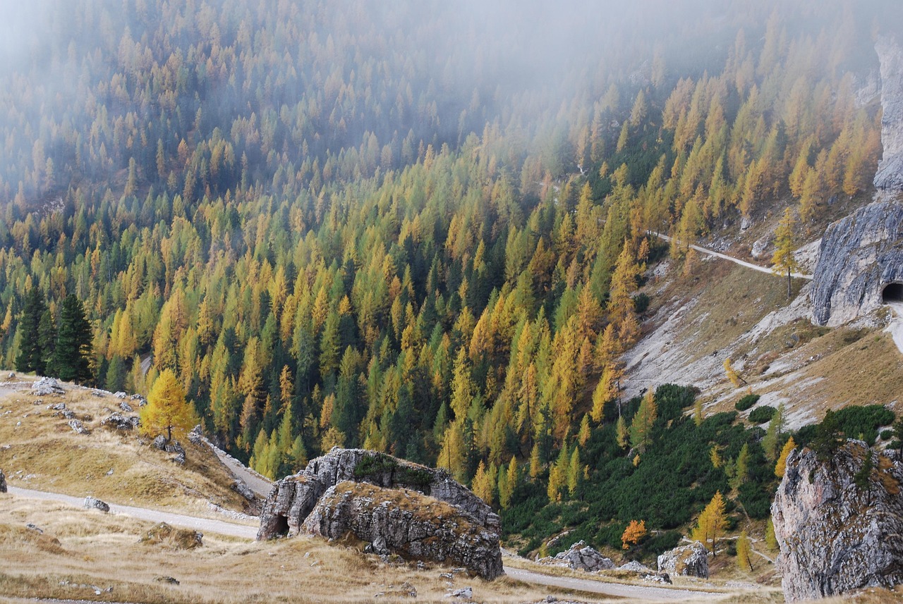 Landscape - free online jigsaw puzzle photo