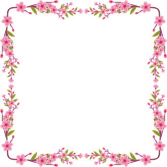 Flores, Quadro, Fronteira, Floral, Rosa