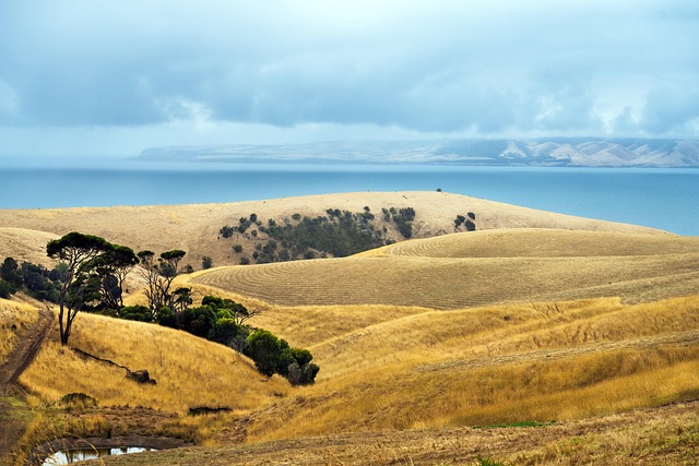 Free Coast Ocean photo and picture
