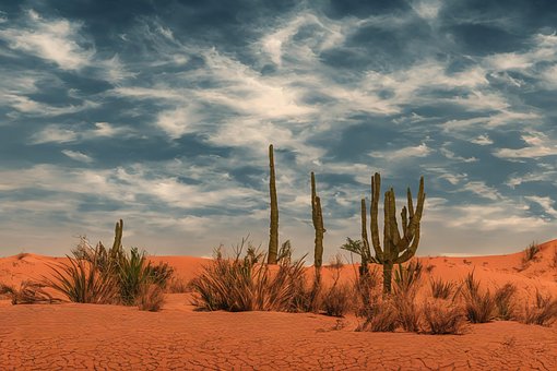 Deserto, Natureza, Céu, Panorama, Cacto