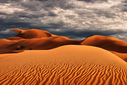 Deserto, Natureza, Céu, Panorama, Cacto