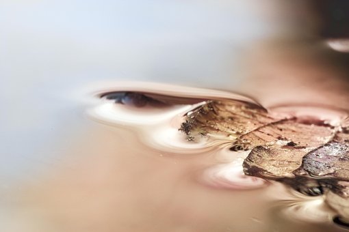 Free Autumn Water photo and picture