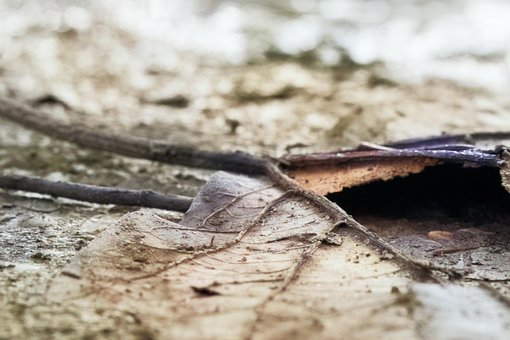 Free Autumn Colors photo and picture