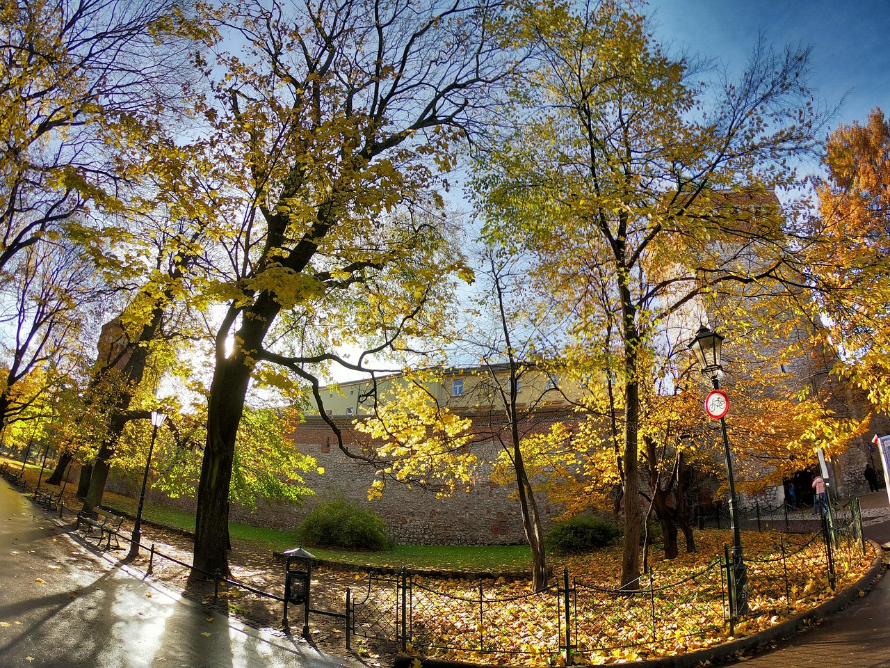 Herfst, Natuur, Gebladerte, Forest