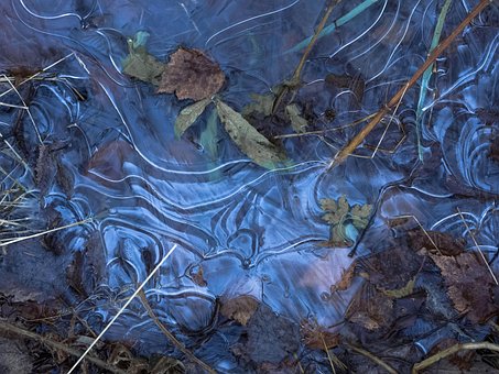 Lago, Gelo, Gelado, Inverno, Folha
