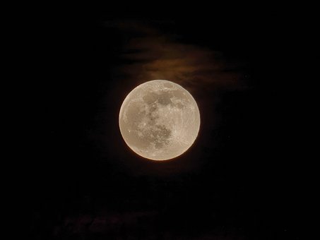 Free Moon Night photo and picture