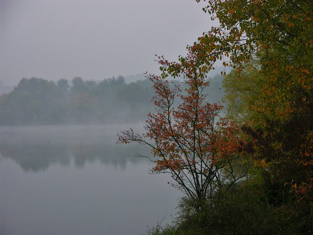Free Fall Fog photo and picture