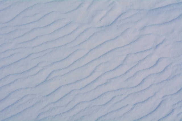 Free Snow Icy photo and picture
