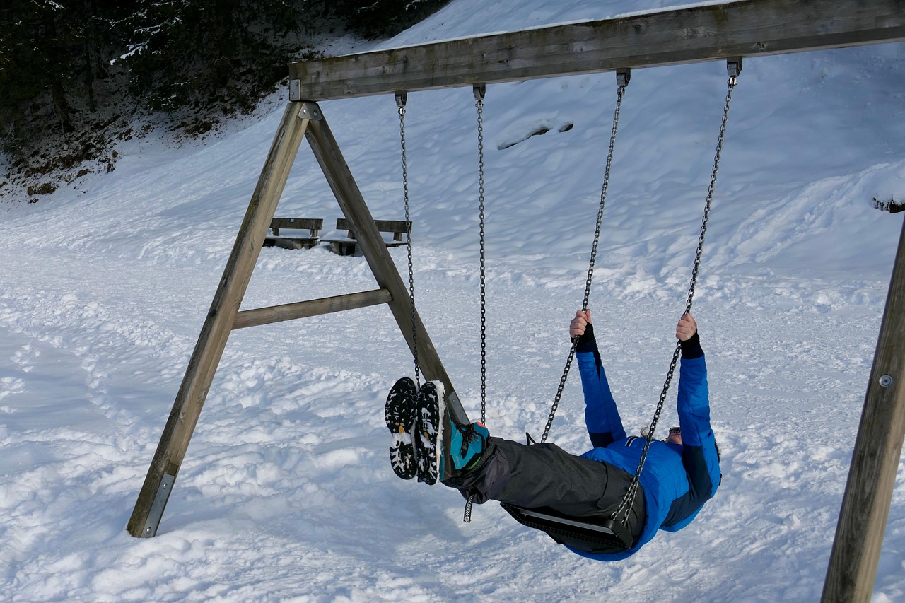 Swing Rock Fun Free photo on Pixabay Pixabay