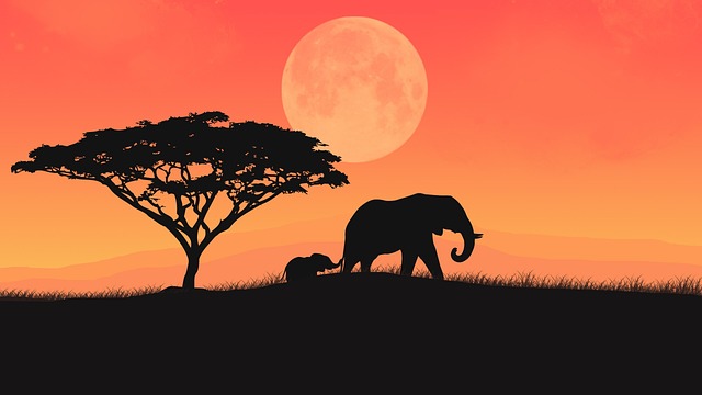 Free elephant animal nature illustration
