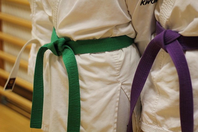 Karate, Sport, Judo, Bælte, Uddannelse