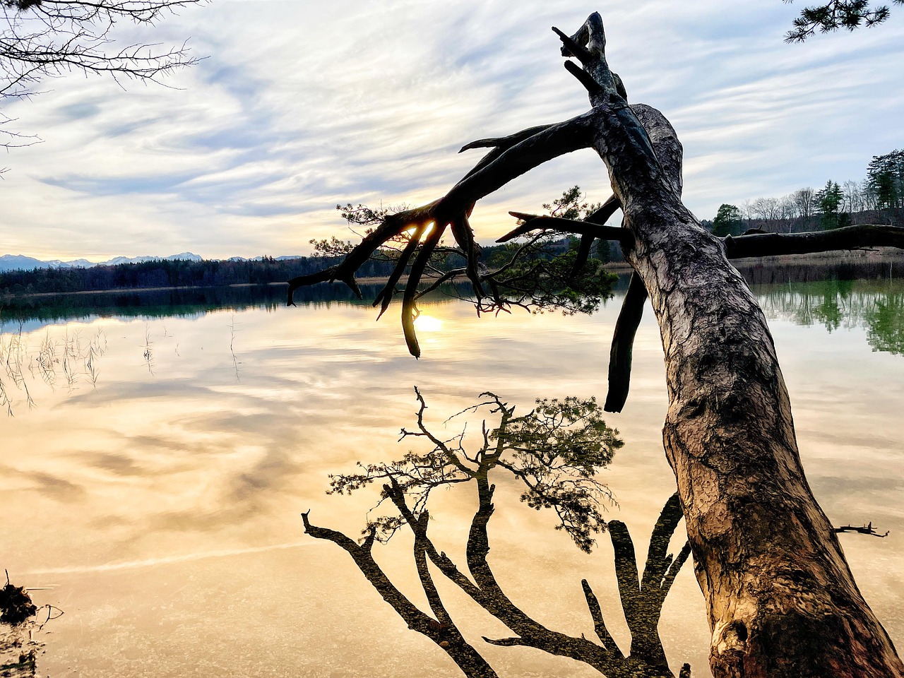 树 海 眼睛 - Pixabay上的免费照片 - Pixabay