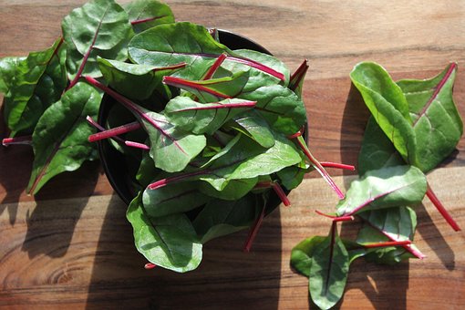 Download free HD stock image of Salad Green Stuff Free salad green stuff chard illustration
