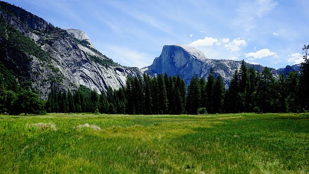 Cúpula De Mitad, Yosemite, Calif, Prado