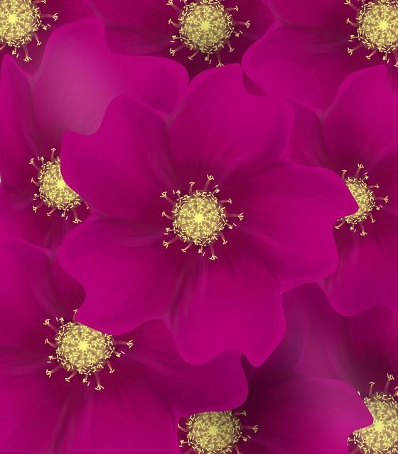 Blomst, Natur, Blomster, Blomstermotiver
