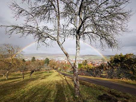 Free Rain Rainbow photo and picture