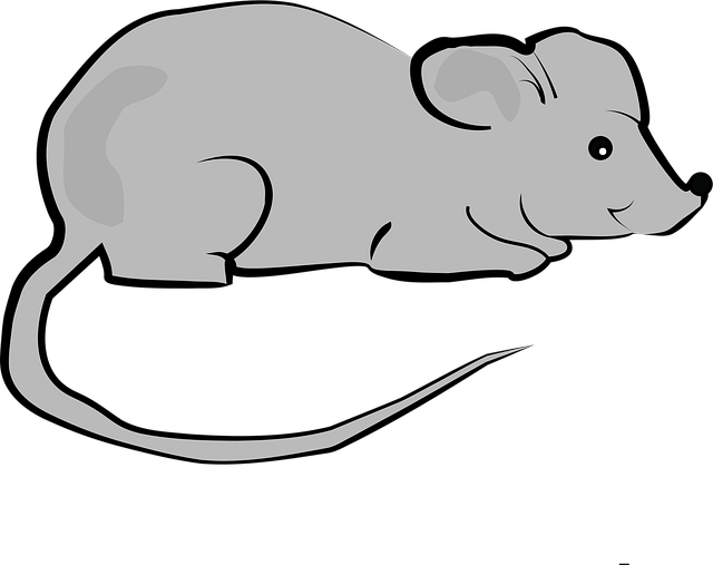 Free Mouse Animal vector and picture