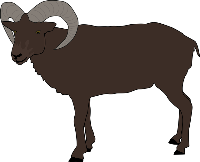 Free buck horns nature illustration
