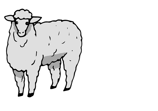Free sheep lamb wool illustration